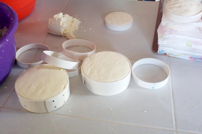 Baby sea turtles camp - Key Points