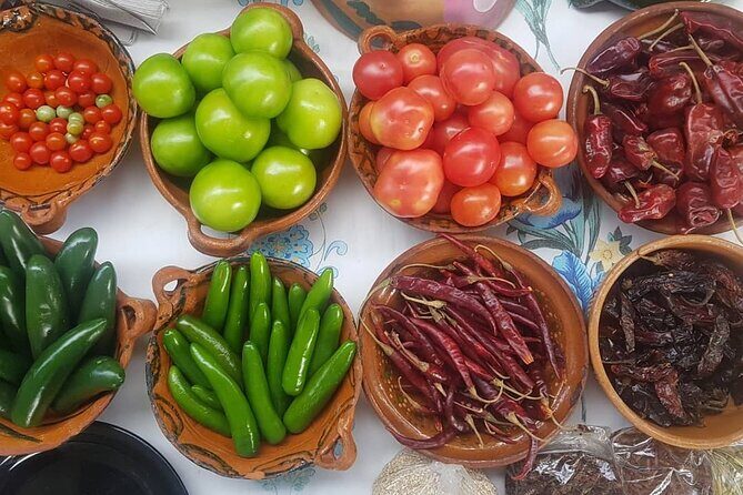 Baby sea turtles camp - Deep Dive: The Itinerary and Practical Details