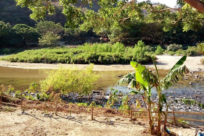 Baby sea turtles camp - The Sum Up: Who Will Appreciate This Tour?