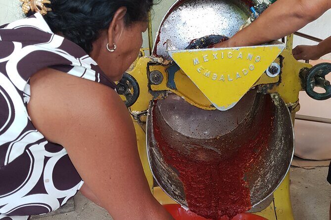 Baby sea turtles camp - FAQs