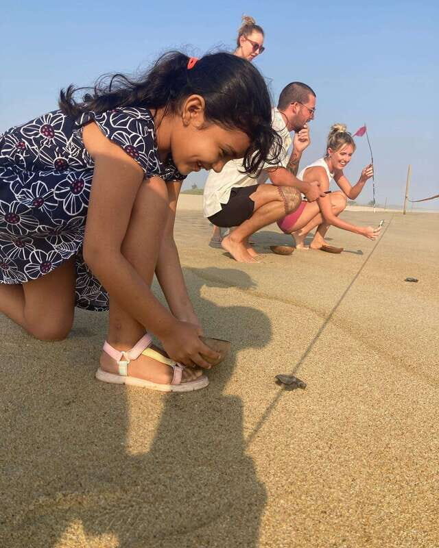 Baby Sea turtles release in Puerto Escondido - Authentic, Well-Reviewed Guides and Good Value