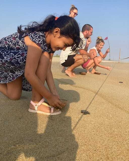 Baby Sea turtles release in Puerto Escondido - Why This Tour Works