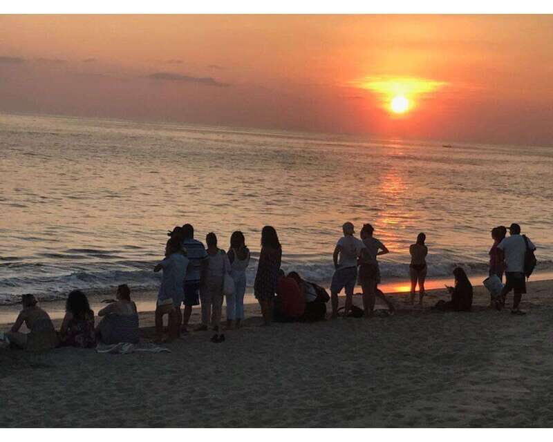 Baby Sea turtles release in Puerto Escondido - Final Thoughts: Who Will Love This Experience?