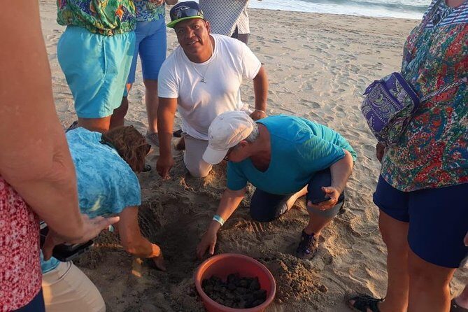 Baby Turtle Release in Coyote Escobilla Beach - Who Will Love This Tour?