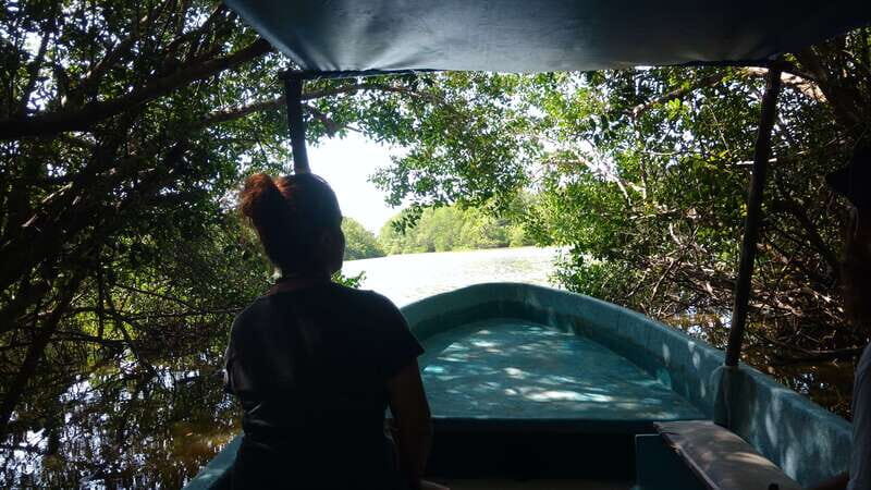 .Baby Turtle Release, Lagoon Boat Ride, and Crocodile Farm - Experience the Natural Wonders of Chihuahua: Baby Turtle Release, Lagoon Boat Ride, and Crocodile Farm