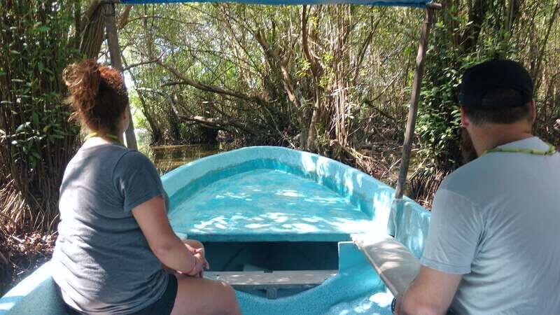 .Baby Turtle Release, Lagoon Boat Ride, and Crocodile Farm - The Value of Guided Experience and Small Group Options