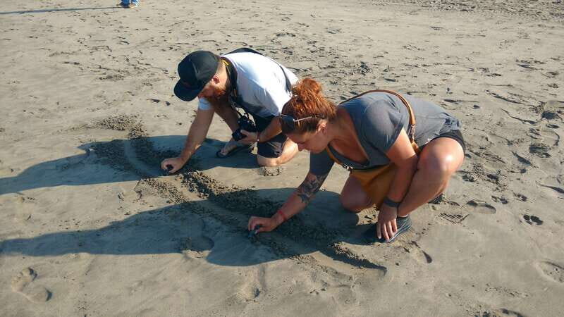 .Baby Turtle Release, Lagoon Boat Ride, and Crocodile Farm - Final Thoughts