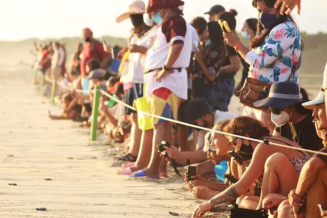 Baby Turtle Release Tour + Pick up + Courtesy in Puerto Escondido! - Introduction: A Unique Experience in Puerto Escondido