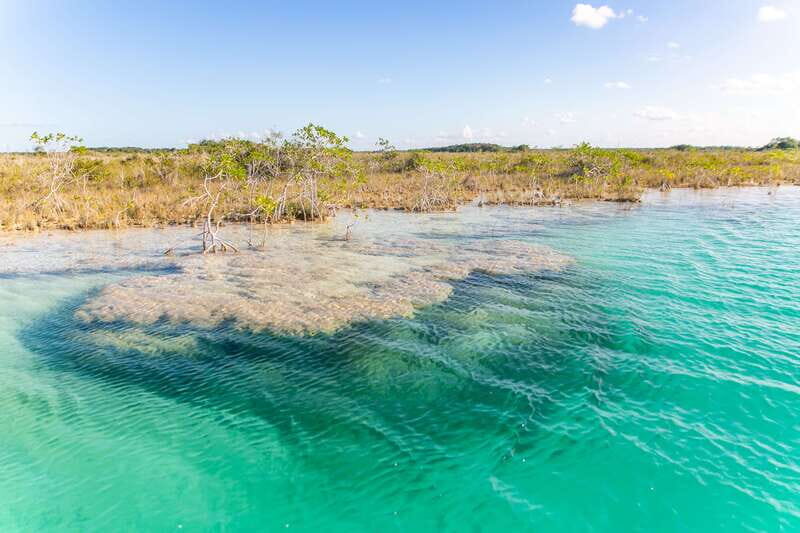 Bacalar: 3 Hour Boat Trip with Swimming & Drinks - Final Thoughts: Who Will Love This Experience?