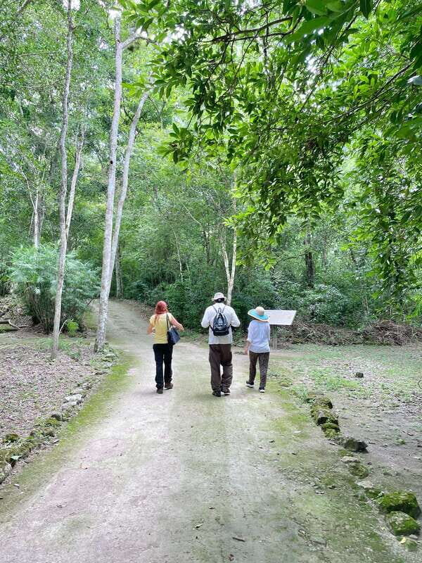 Bacalar: Calakmul daytour ruins and walk in the jungle.. - What We Love and What to Watch Out For