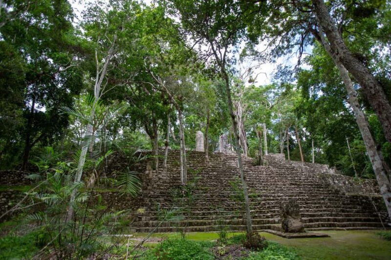 Bacalar: Calakmul daytour ruins and walk in the jungle.. - Final Thoughts