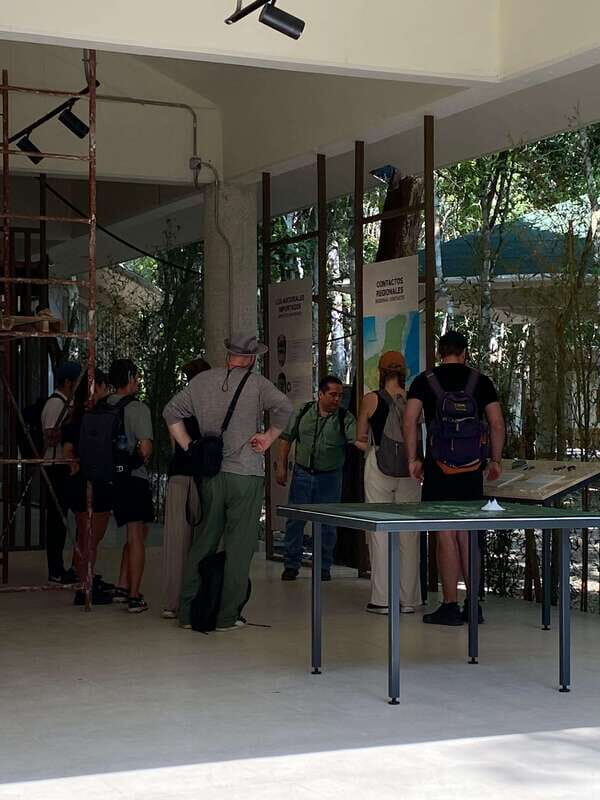 Bacalar: Calakmul Ruins Day Trip with a Stop In The Jungle - Who Should Consider This Tour?