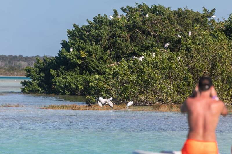 Bacalar: Full Day Kayak Rental in the Lagoon of Seven Colors - Who Will Love This Experience?