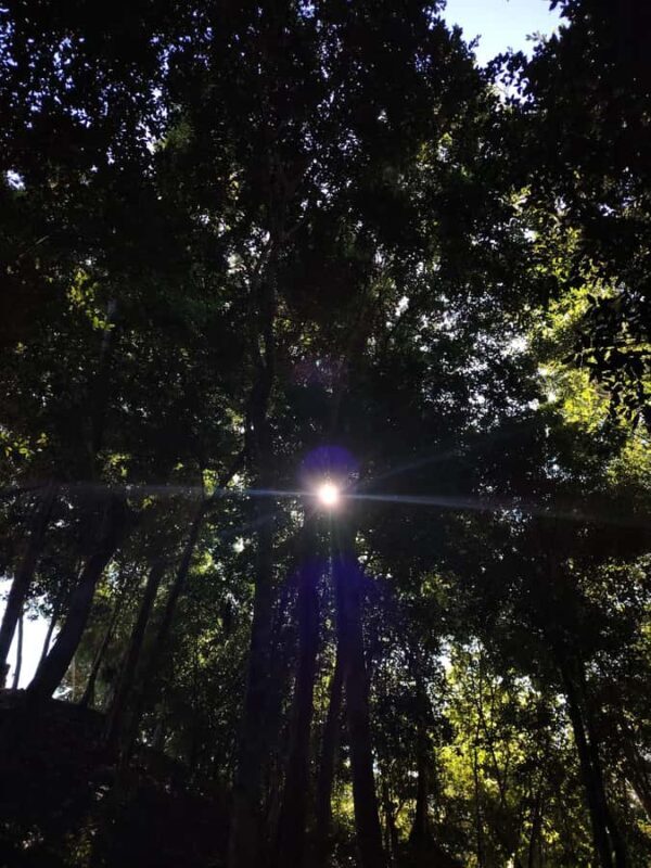 Bacalar: Ichkabal mayan temples & boat tour. - The Sum Up