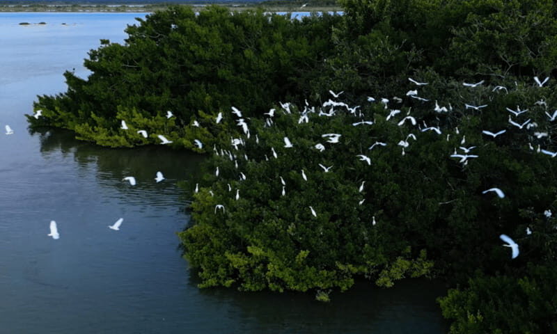 Bacalar: Lagoon, Pirate Canal, Stromatolite Day Trip w/Lunch - Who Is This Tour Best For?