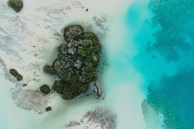 Bacalar Lagoon Sightseeing Boat Tour with Open Bar and Snacks - FAQ: Your Bacalar Boat Tour Questions Answered