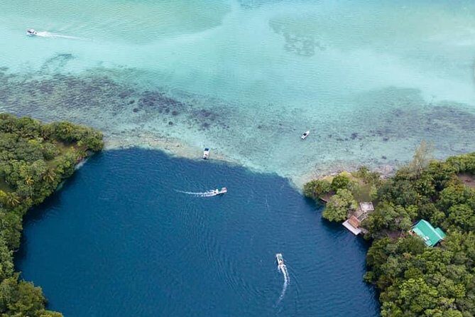 Bacalar Seven Color Lagoon Boat Adventure with Grill Option - Who Will Love This Tour?
