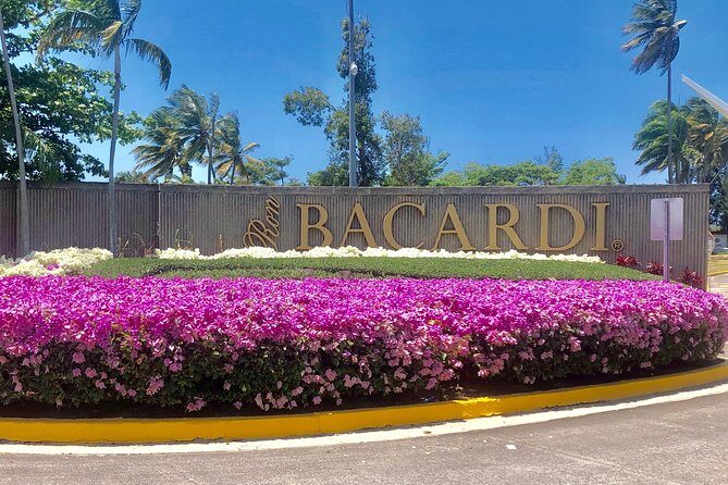 Bacardi Rum Distillery and Old San Juan Tour - Transportation, Timing, and Group Size