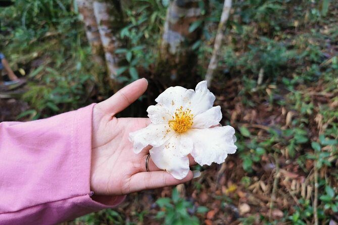 Bach Ma National Park Tour From Hue City - Who Will Love This Tour?