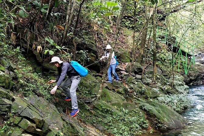 Bach Ma National Park trekking daily tour from Da Nang, Hoi An - FAQ