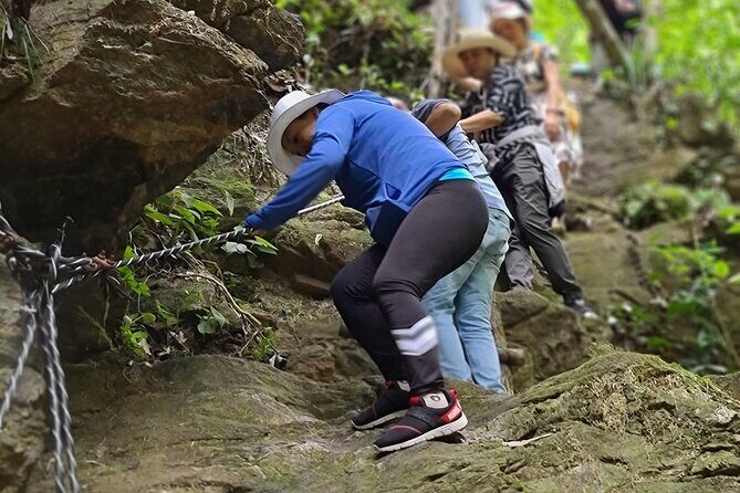 Bach Ma National Park trekking deluxe daily tour from Hue - The Transport and Group Size
