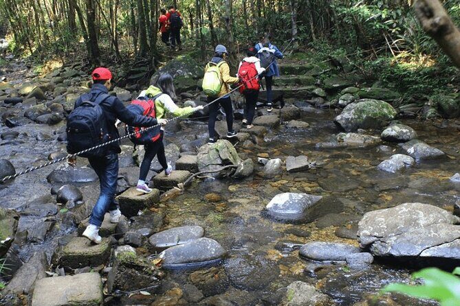 Bach Ma National Park Trekking Tour 1 Day From Hue City - FAQ