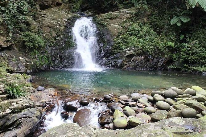 Bach Ma Park via Hai Van Pass Private Full-Day Trekking Tour - Key Points