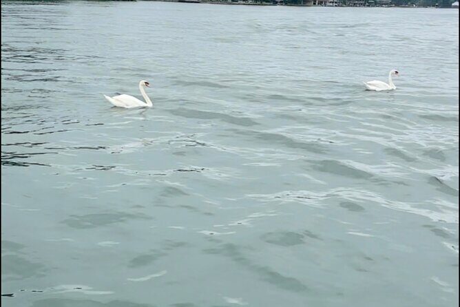 Bach Party Boat on Lake Austin 4 hours Up to 12 guests - The Experience: What to Expect from Your Lake Austin Tour