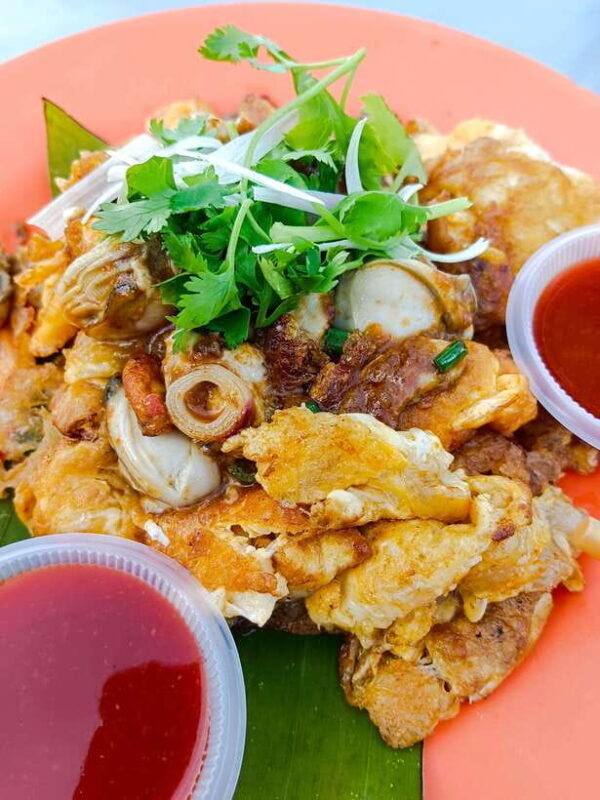 Back of the Bike Street Food Experience  Real Penang! - Final Summary