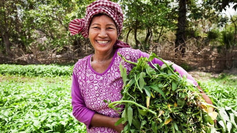 Back to Basics: Siem Reap Village Tour in Cambodia - Back to Basics: Siem Reap Village Tour in Cambodia