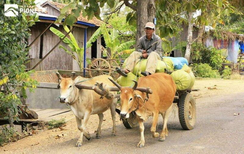 Back to Basics: Siem Reap Village Tour in Cambodia - Final Thoughts: Who Will Love This Tour?