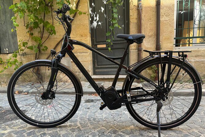 Backcountry E-Bike Adventure from Bordeaux: Wine Tasting & Lunch - Who Will Love This Tour?