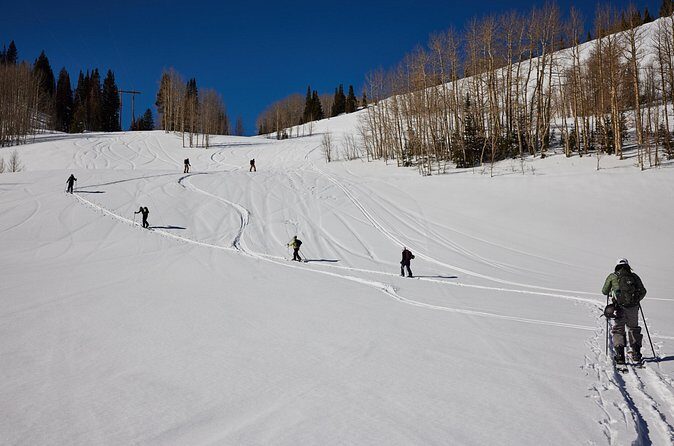 Backcountry Essentials in the Wasatch Range of Utah - The Sum Up