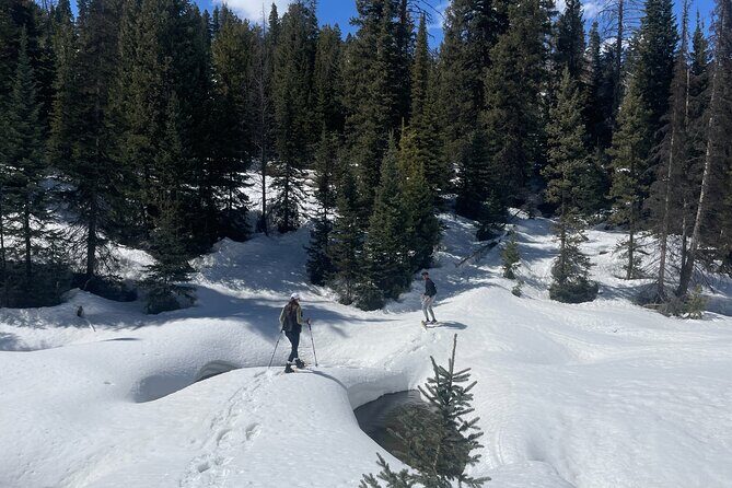 Backcountry snowshoeing in pristine Utah mountains - Key Points