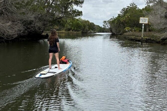 Backland Alligator Electric Paddle Tour - Key Points