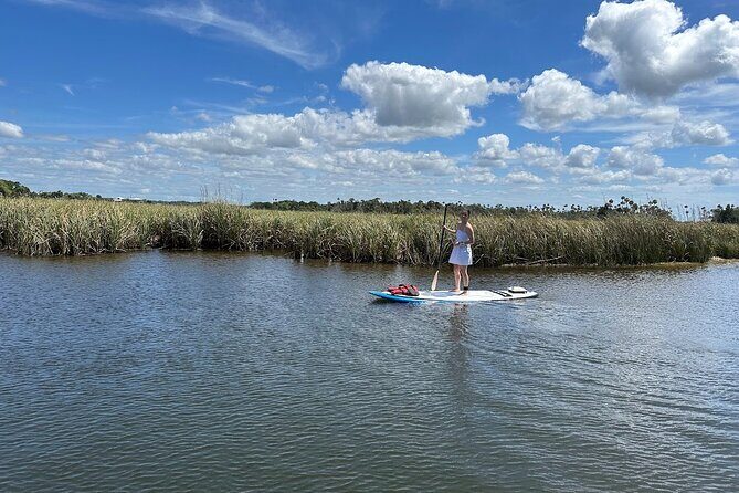 Backland Alligator Electric Paddle Tour - A Detailed Look at the Backland Alligator Electric Paddle Tour