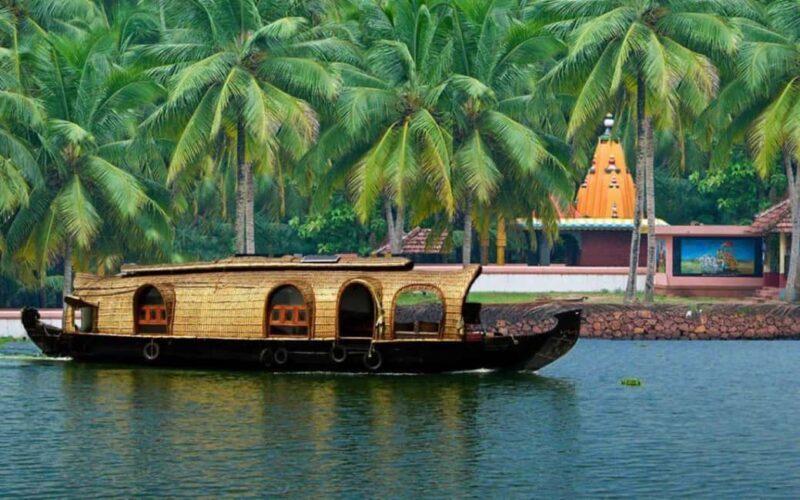 Backwater of Kerala Alleppey Houseboat Cruise Overnight Tour - What This Tour Means for You