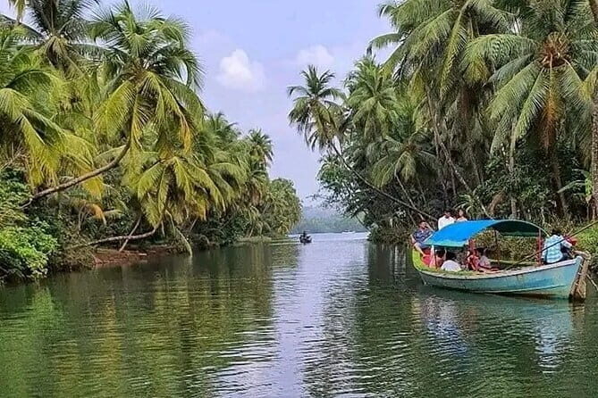 Backwaters Bliss: Cochin to Alleppey Escape - What’s Included & What to Keep in Mind