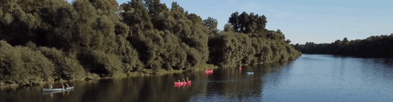 Bad Bellingen: Beginners Canoe Tour on the Altrhein - Key Points