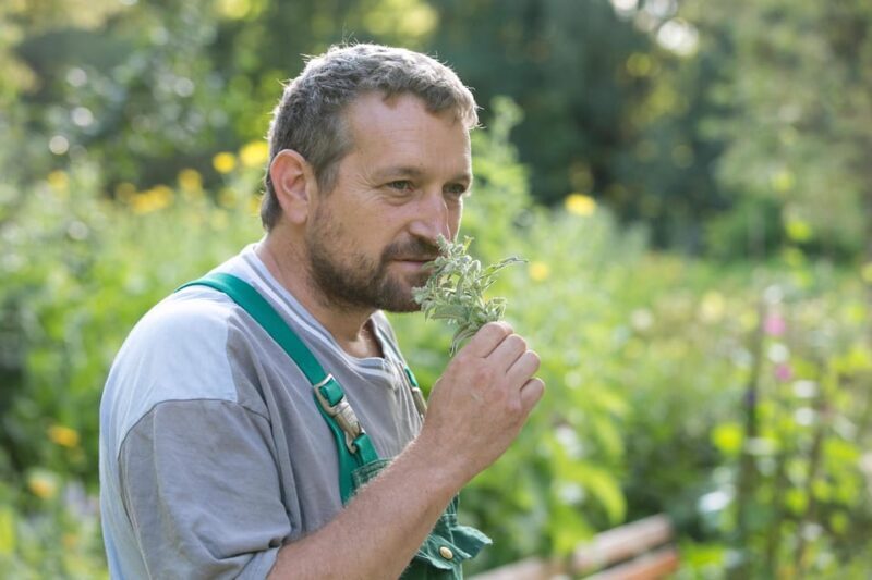Bad Wörishofen: Herb Tour - Why This Tour Is Worthwhile