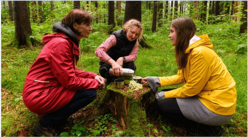 Bad Wörishofen: Shinrin-Yoku  Forest Bathing - Your Guide to Shinrin-Yoku in Bad Wörishofen