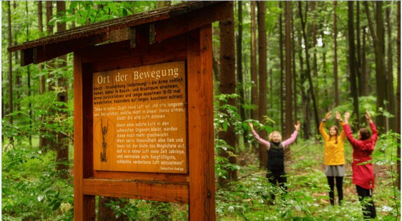 Bad Wörishofen: Shinrin-Yoku  Forest Bathing - Key Points