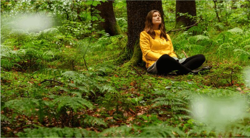 Bad Wörishofen: Shinrin-Yoku  Forest Bathing - The Sum Up