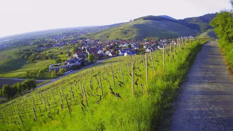 Baden-Baden: Private e-Mountainbike Tour with local Guide - Baden-Baden: Private e-Mountainbike Tour with Local Guide