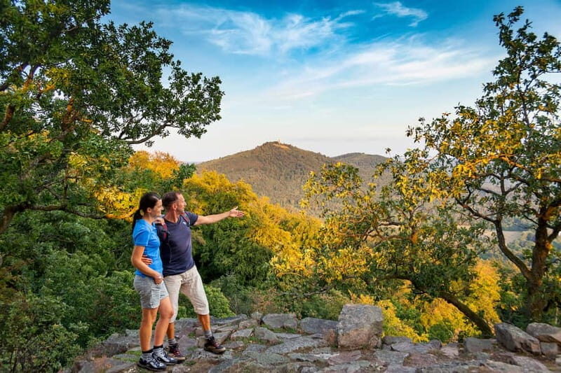 Baden-Baden: Wanderung mit dem Schwarzwald-Guide - Key Points