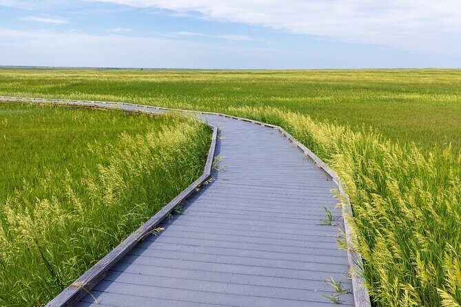 Badlands and Mount Rushmore Self-Guided Audio Tour Bundle - Authentic Experience and Practical Notes
