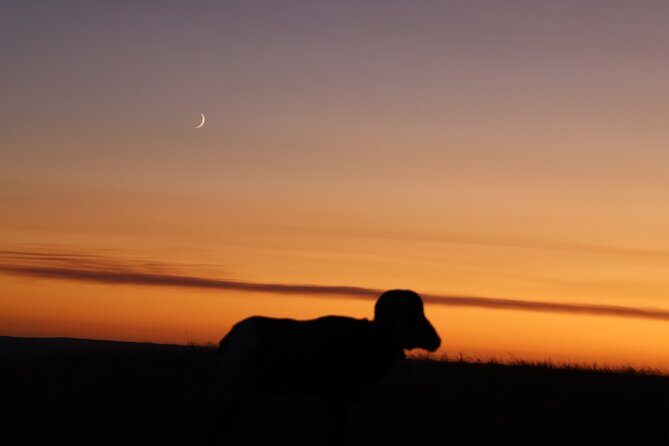 Badlands Noctourism: Shadows of Stone and Stars - FAQ