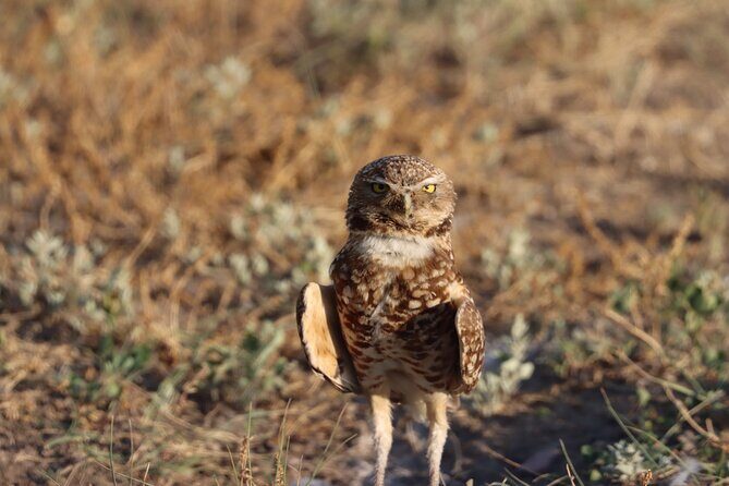Badlands Scenic Flight and Stargazing Tour Experience - Final Thoughts on Value and Experience