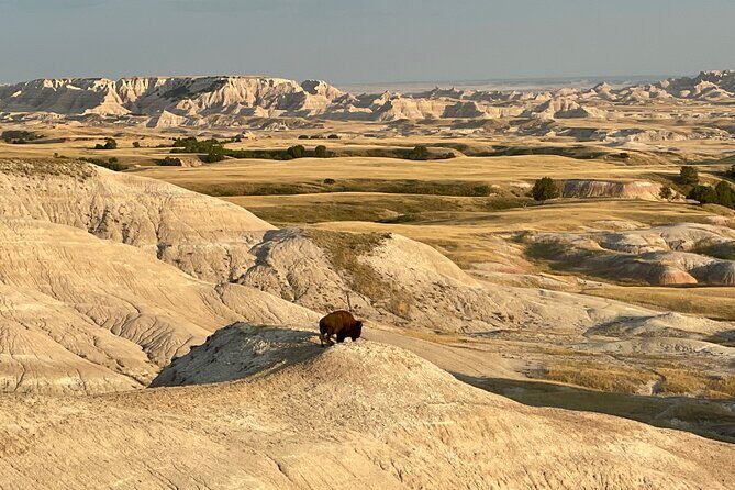 Badlands Sunset & Wildlife: Nature's Evening Glow - Who Is This Tour Best For?