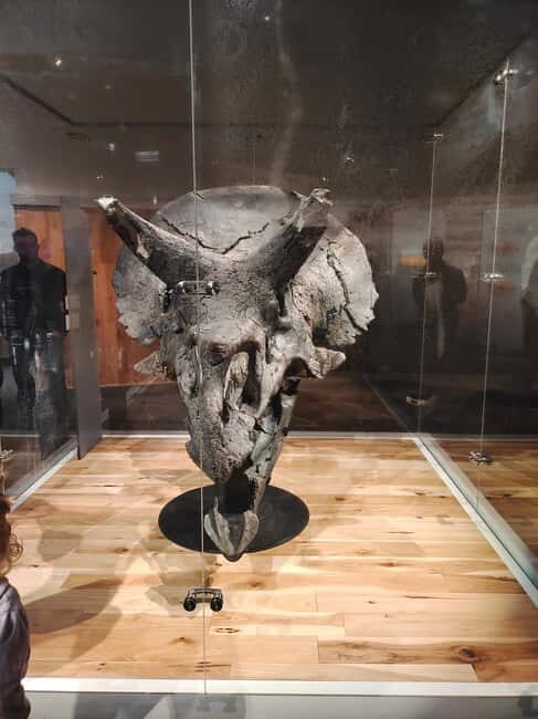 Badlands Tour: Drumheller with Museum, Hoodoos & Coal Mine - Who Is This Tour Best For?